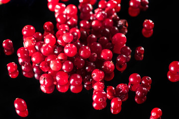 selective focus of red currants isolated on black