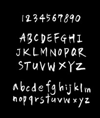 벡터 문자 / 손으로 쓴 글씨체