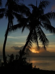 Fototapeta na wymiar Portrait of silhouettes of coconut trees with a beautiful sunset by the beach backdrop in a tropical island