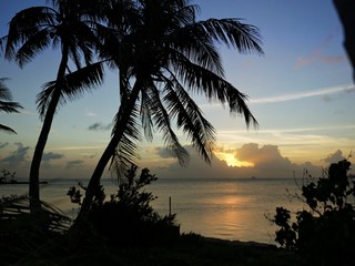 Landscape shot of a beautiful sunset by the beach with silhouette of coconut trees in a tropical island
