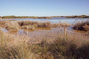 Lago bonito