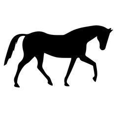 Horse Icon