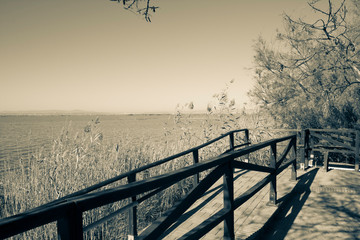 Albufera