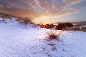 winter landscape snow-covered sand dunes / bright winter sunset mid-winter