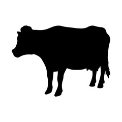 Cow icon