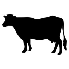 Cow icon