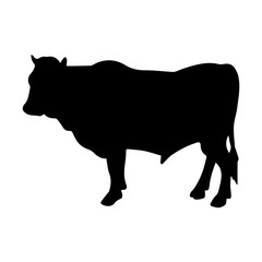 Cow icon