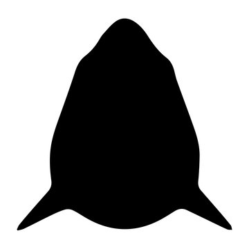 black silhouette shark