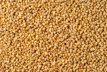 background, texture - buckwheat groats