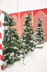 A Christmas new year tree decorations