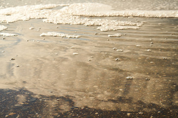 Waves and Sands Background