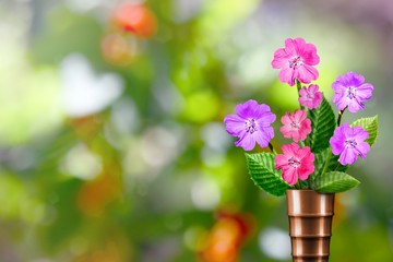 Beautiful live petunia bouquet bouquet in modern metal vase with empty on left on tree leaves blurred bokeh background.
