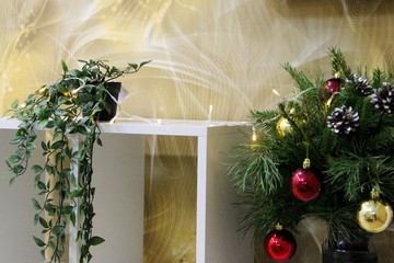 on a yellow background of abstract, a white shelf with a green flower in a pot and coniferous green branches of the Christmas tree, decorated with gold, red balls and cones illumination with a garland