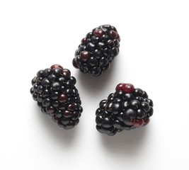three backberries on with table, with shadow
