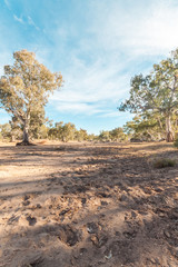 Fototapeta na wymiar Creek bed views in the Northern Territory