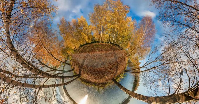 Little planet Transformation. full flyby panorama landscape in gold autumn forest in sunny evening near lake 