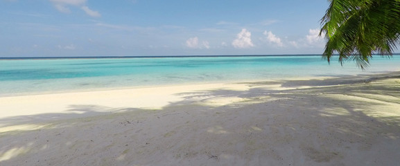 Tropical Maldives beach with coconut palm trees and blue sky.