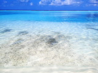 Tropical Maldives beach with white sand and blue sky.