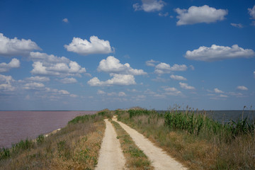 Fototapeta premium Natural landscape with a fantastic pink lake