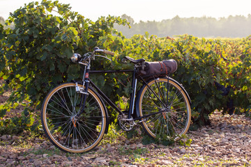 old bicycle in a vineyard, at golden sunrise in Fontanars dels Alforins, small town in the province of Valencia, Spain - Powered by Adobe