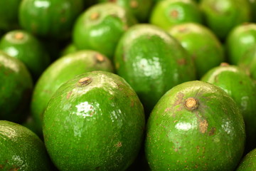 avocado