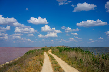 Natural landscape with a fantastic pink lake