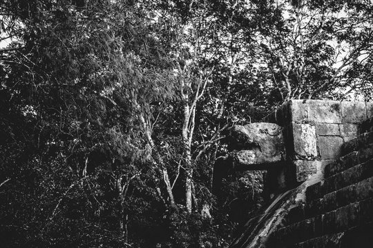 Hidden scultures of snake decorating construction in Chichen Itza on the Yucatan