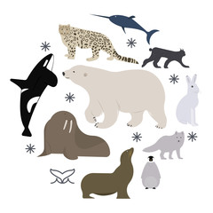 Fototapeta premium Greenland and arctic wild polar animals clip art. White bear, narwhal, bearded seal, walrus, fox, rabbit, snowshoe hare, arctic snow cat. Set of cute cartoon characters vector illustration.