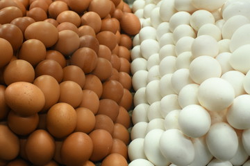 pile of eggs