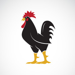 Vector of rooster or cock  design on white background., Animal farm. Easy editable layered vector illustration. © yod67