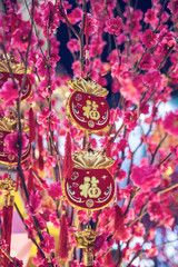 Rich flower blossoms festive spring festival background material