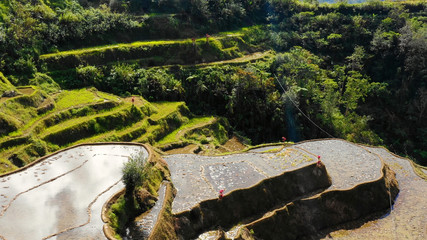 rice terraces in aerial view, Philippines