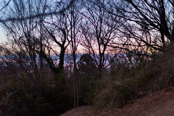 Obraz premium 冬の夕方