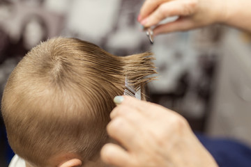 Fototapeta premium Little boy does a haircut at the hairdresser. Baby hair care.