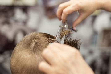 Little boy does a haircut at the hairdresser. Baby hair care.