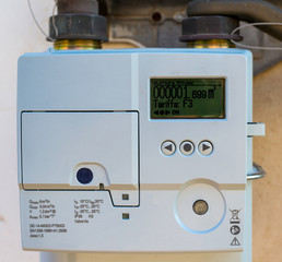Smart gas meter with WAN and home area network connection can be read remotely and supply real time information to the home owner