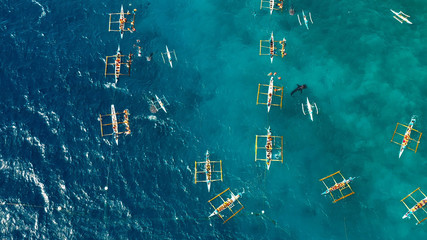 whale shark with boat in aerial view, snorkeling, Philippines