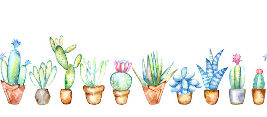 Seamless border of a cactus and sikkulent .Watercolor hand drawn illustration.White background.