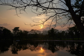 Background of beautiful sunset in the park