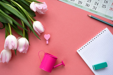 Woman's desktop with notepad, and tulips. Top view