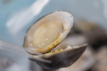 Finding parasites in samples animals for education in laboratory. 