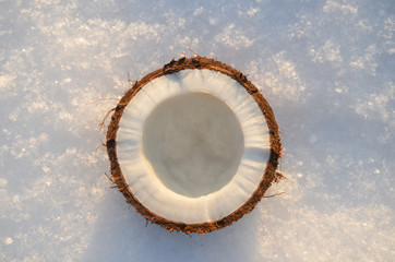 A half of the coconut on the snow