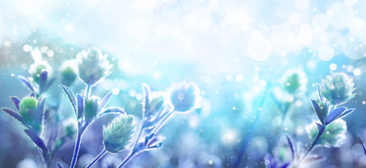 Spring wild meadow clover flowers, macro, soft focus. Blurred gentle blue background sky with...