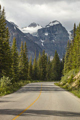 Country Road Through Wooded Valley Between Mountains In Alaska