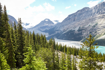 River Running Through Wooded Valley Between Mountains In Alaska