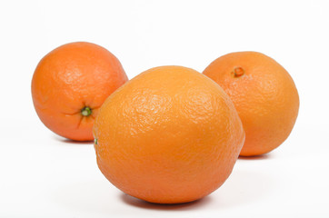 oranges on white