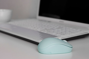 mint computer mouse with a white laptop and a cup of coffee on the background