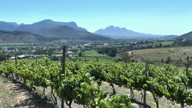 Cape Winelands -  Franschhoek Valley

Cape Winelands - Franschhoek Valley
