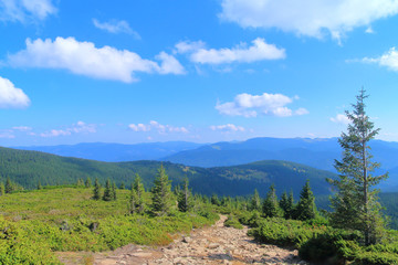 Fototapeta na wymiar Hiking trail in the forest area to the top of the mountain in the Carpathians.