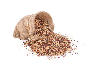 dry tricolor quinoa seeds in sack and on white background